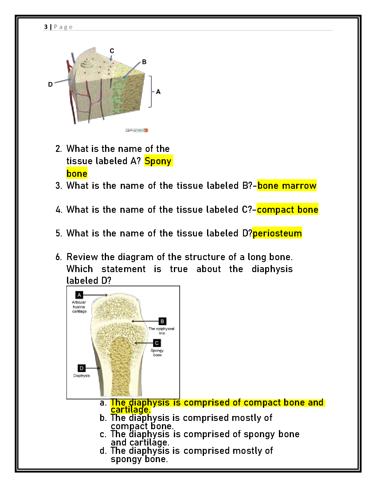 WGU D312 A&P Lab 2 Test Bank Sections 3-4 Answers IMG-3
