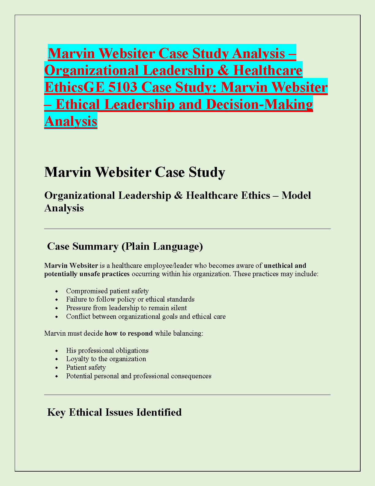 GE 5103 Marvin Weber Case Study Analysis & Ethics IMG-1
