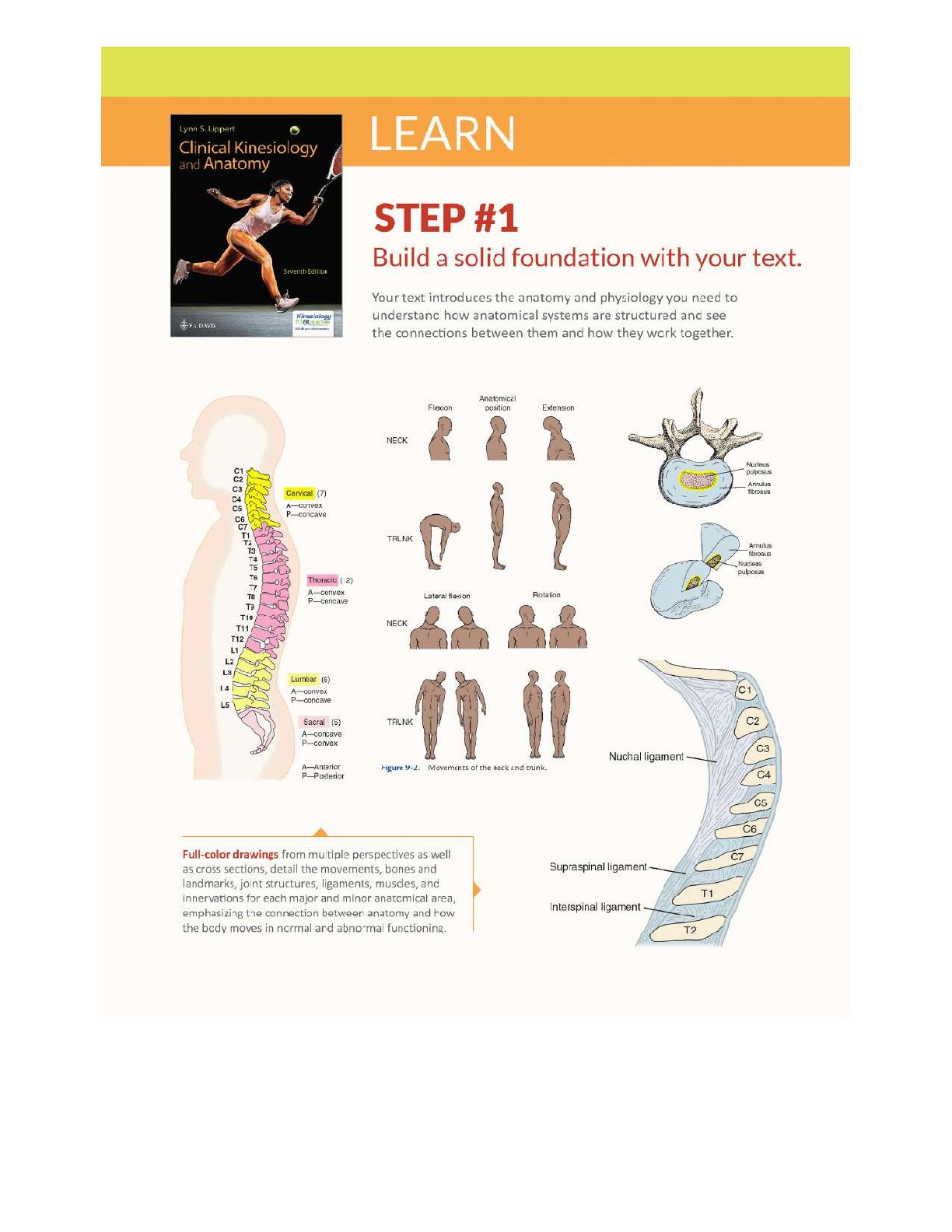 Kinesiology and Anatomy 7th Ed Test Bank Solutions IMG-3