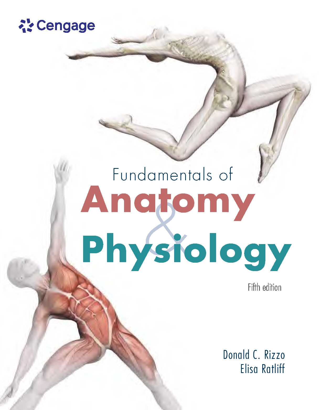 Anatomy Test Bank Solutions 5th Ed Rizzo IMG-1