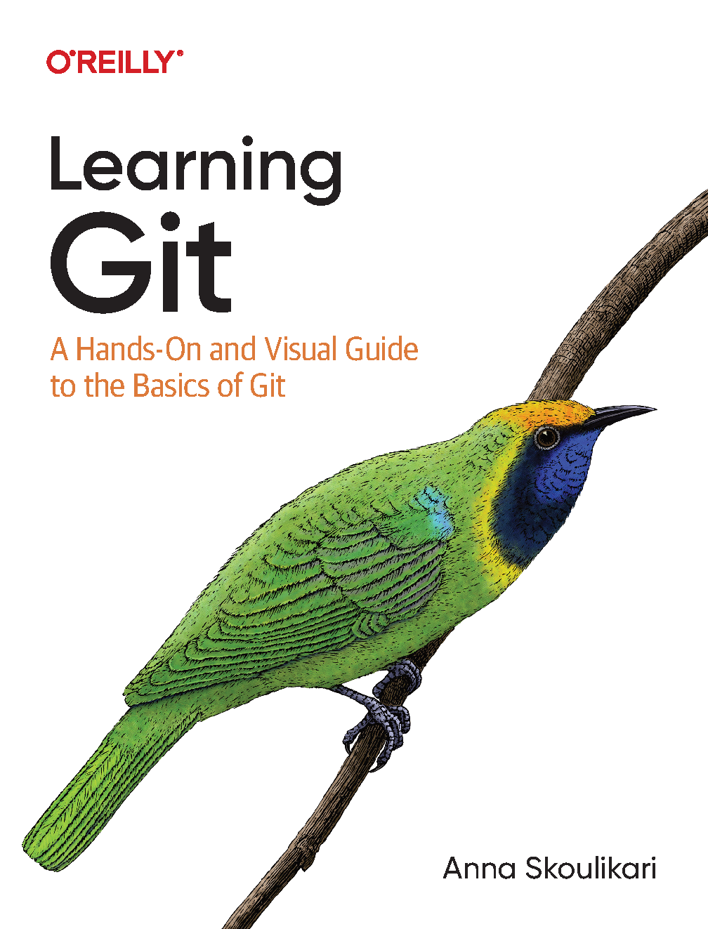 Git Study Guide 2026 Mastering Version Control Essentials