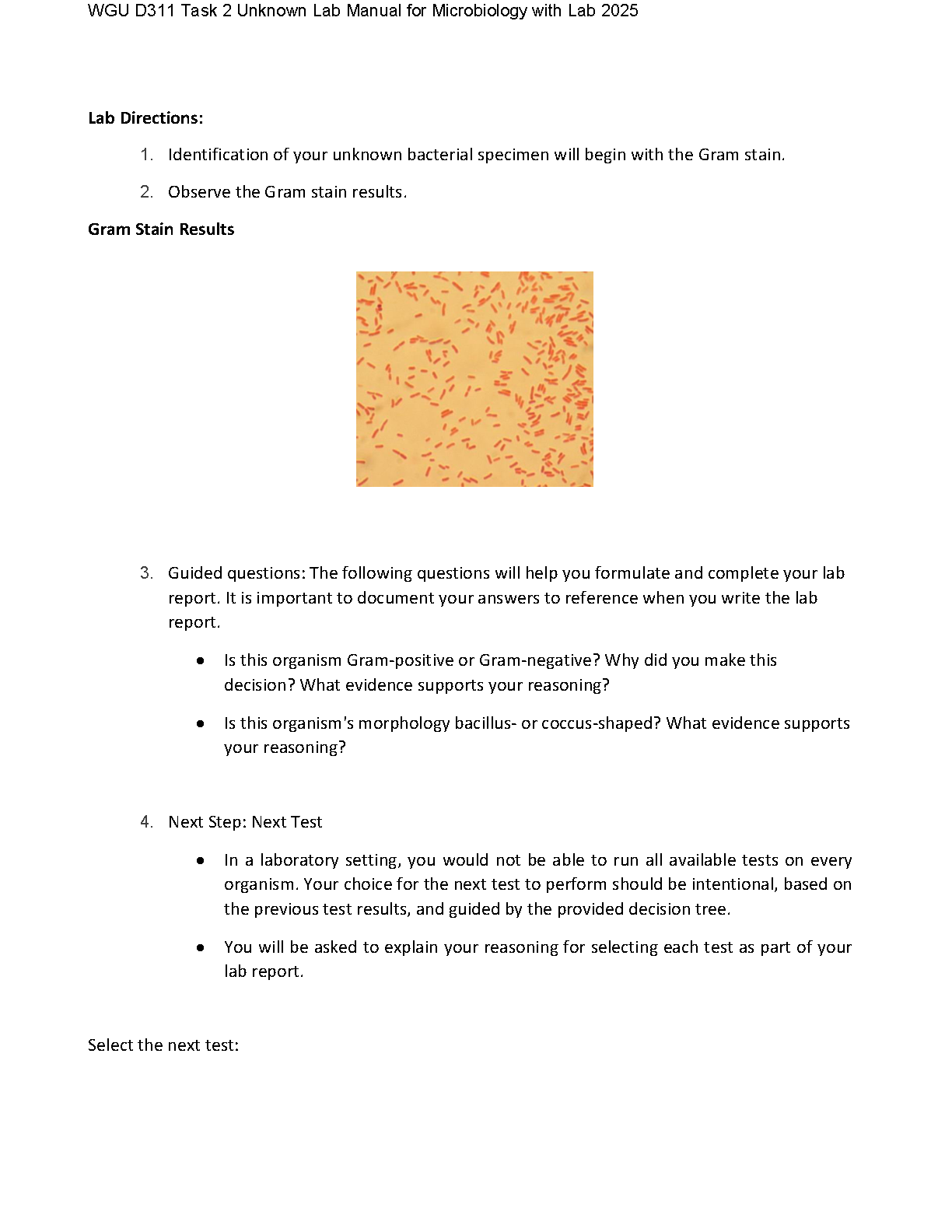 WGU D311 Microbiology Task 2 Lab Manual 2025 IMG-3