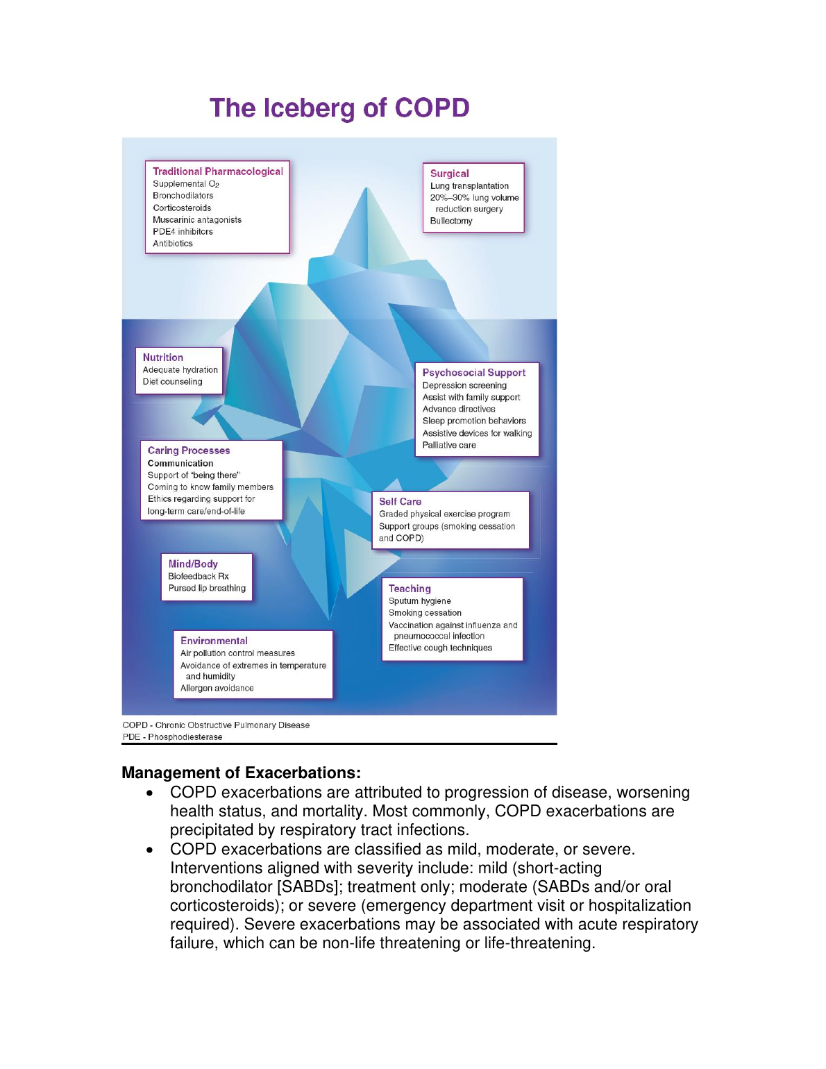NR 601 Week 2 Midterm Study Guide COPD Nursing 2023