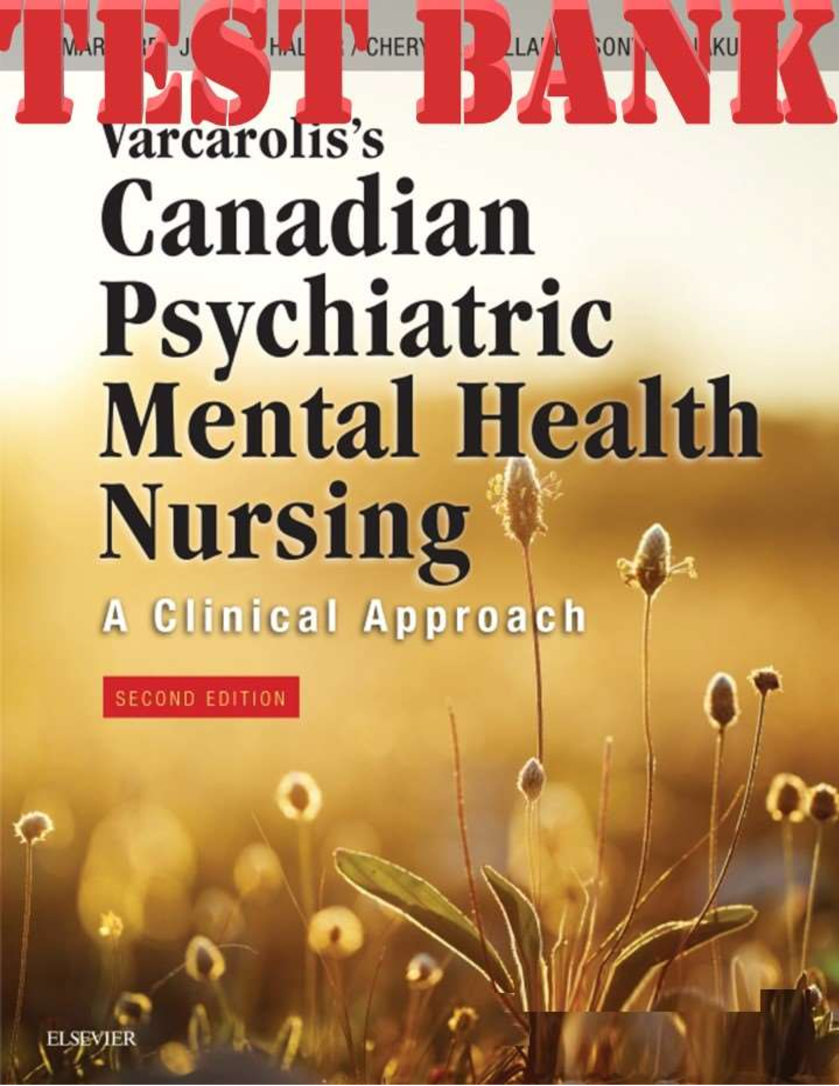 Varcarolis's Canadian Psychiatric Mental Health Nursing 2E