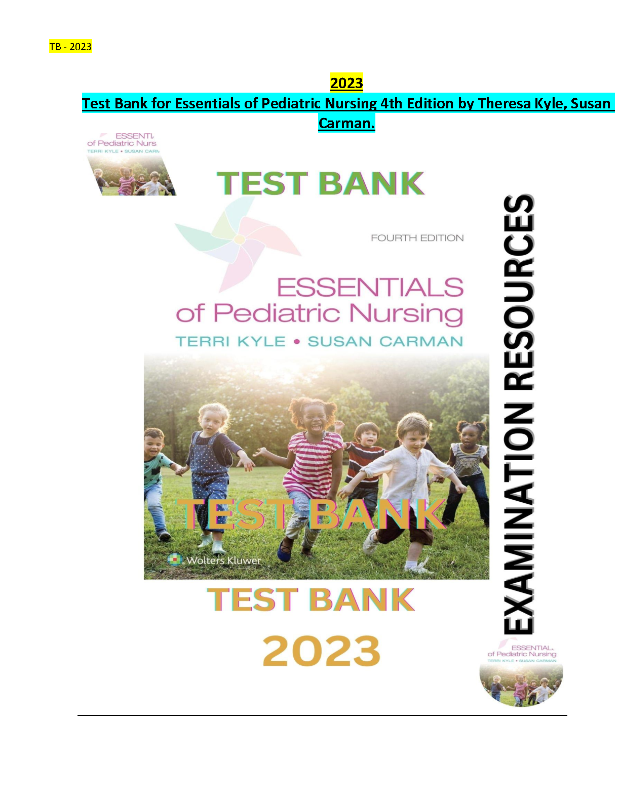 Essentials of Pediatric Nursing 4th Edition TEST BANK IMG-1