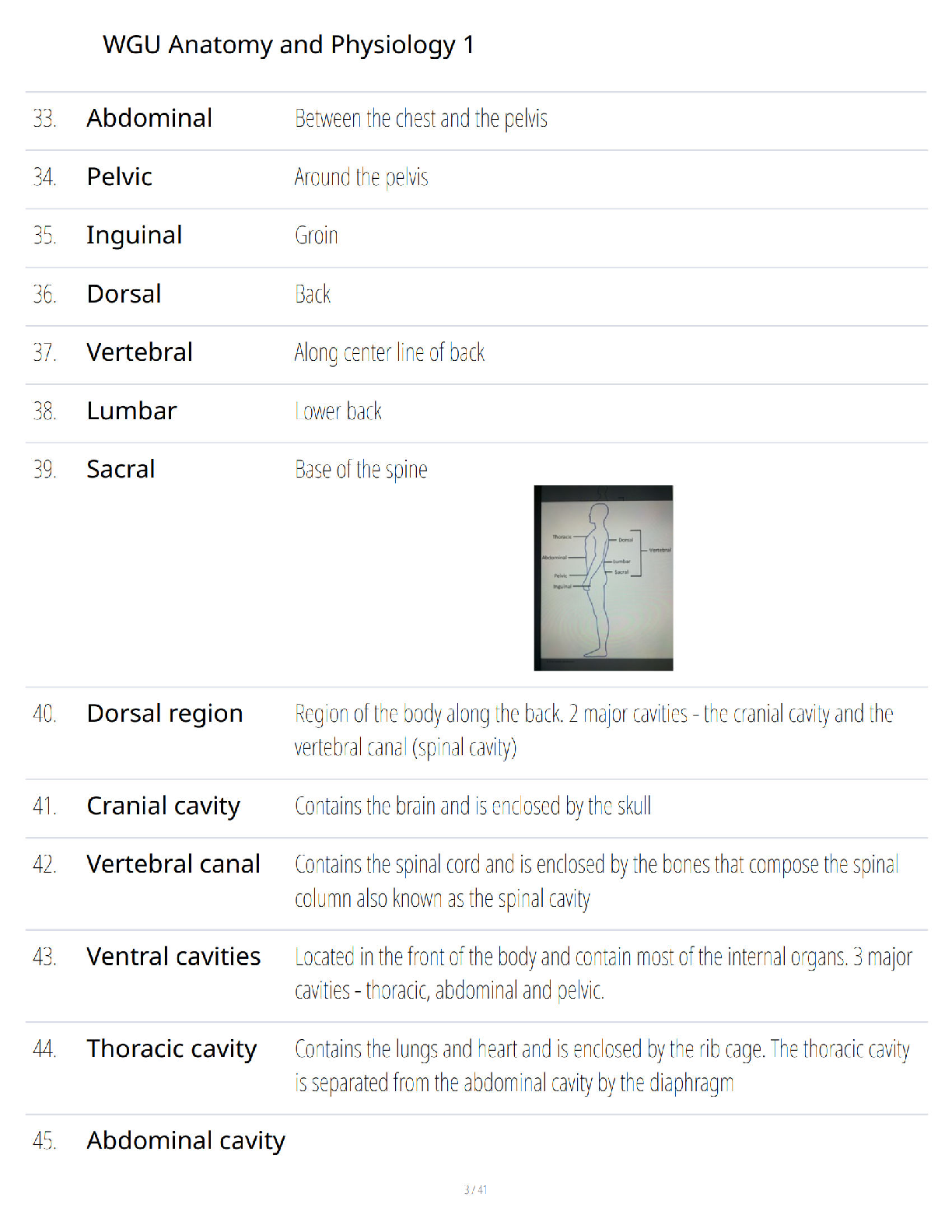 WGU C105 Anatomy and Physiology Study Guide 2026/27 IMG-3