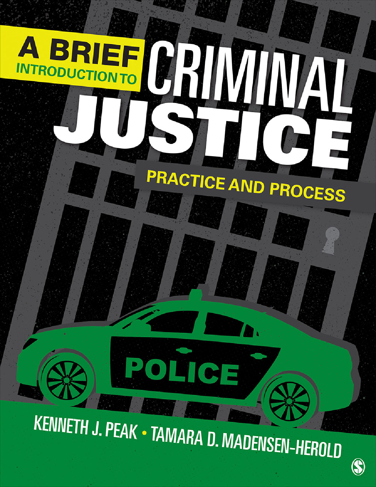 Criminal Justice Test Bank Practice and Process Police IMG-1