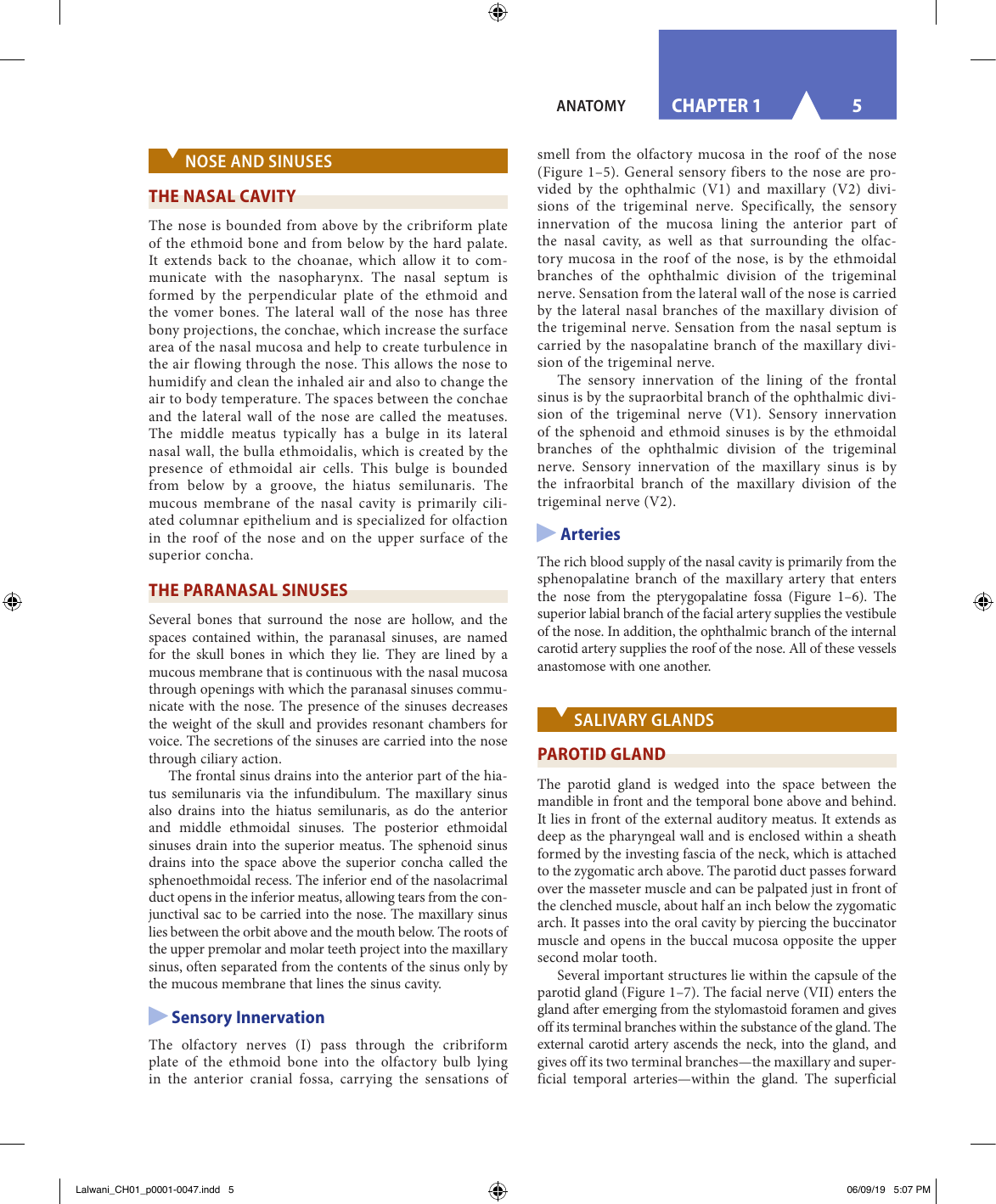 Otolaryngology Study Guide 2026/27 Exam Prep IMG-1