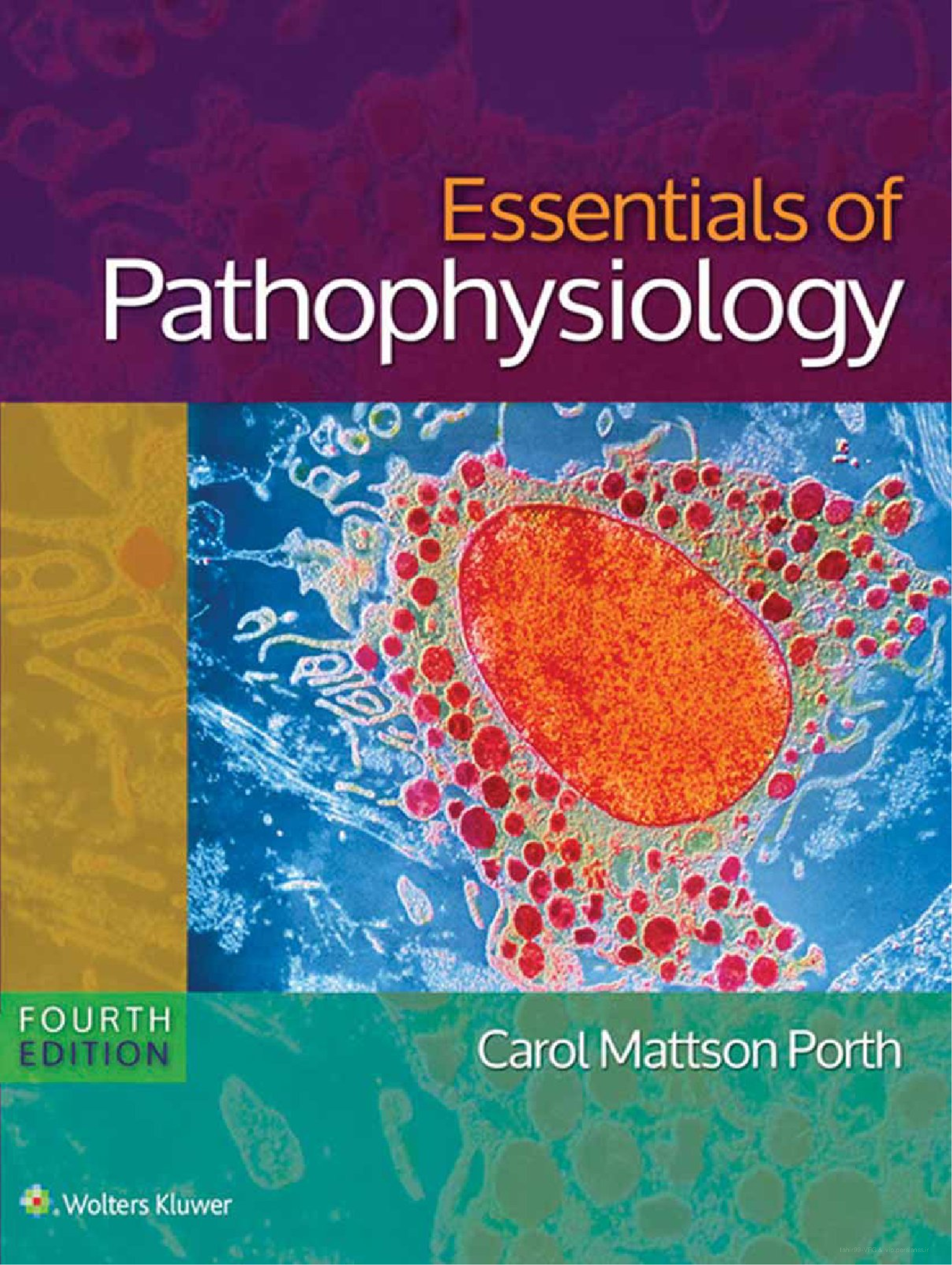 Porth Essentials Pathophysiology 4e Study Guide 2026/27 IMG-1