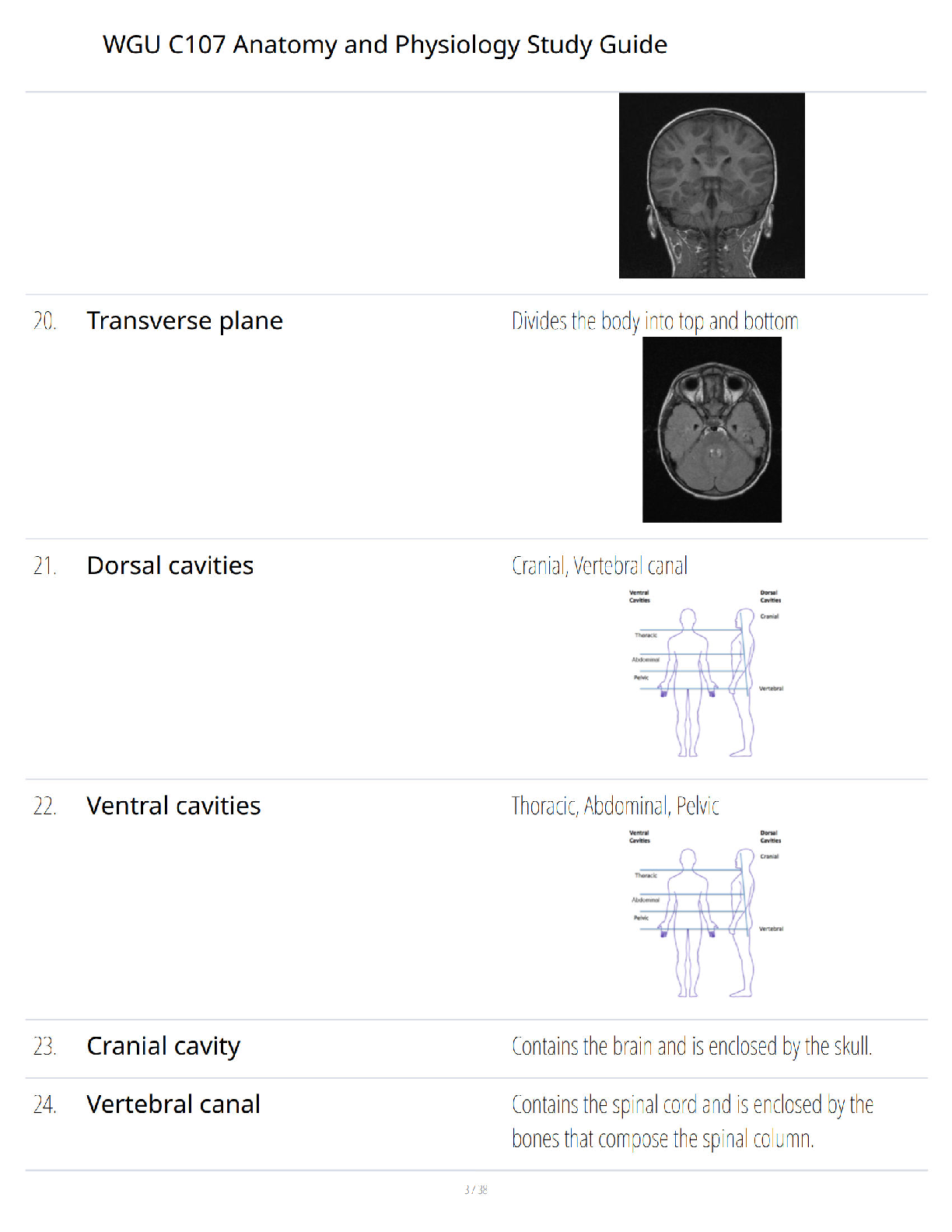 WGU C107 Anatomy Physiology Study Guide Verified Q&A IMG-3
