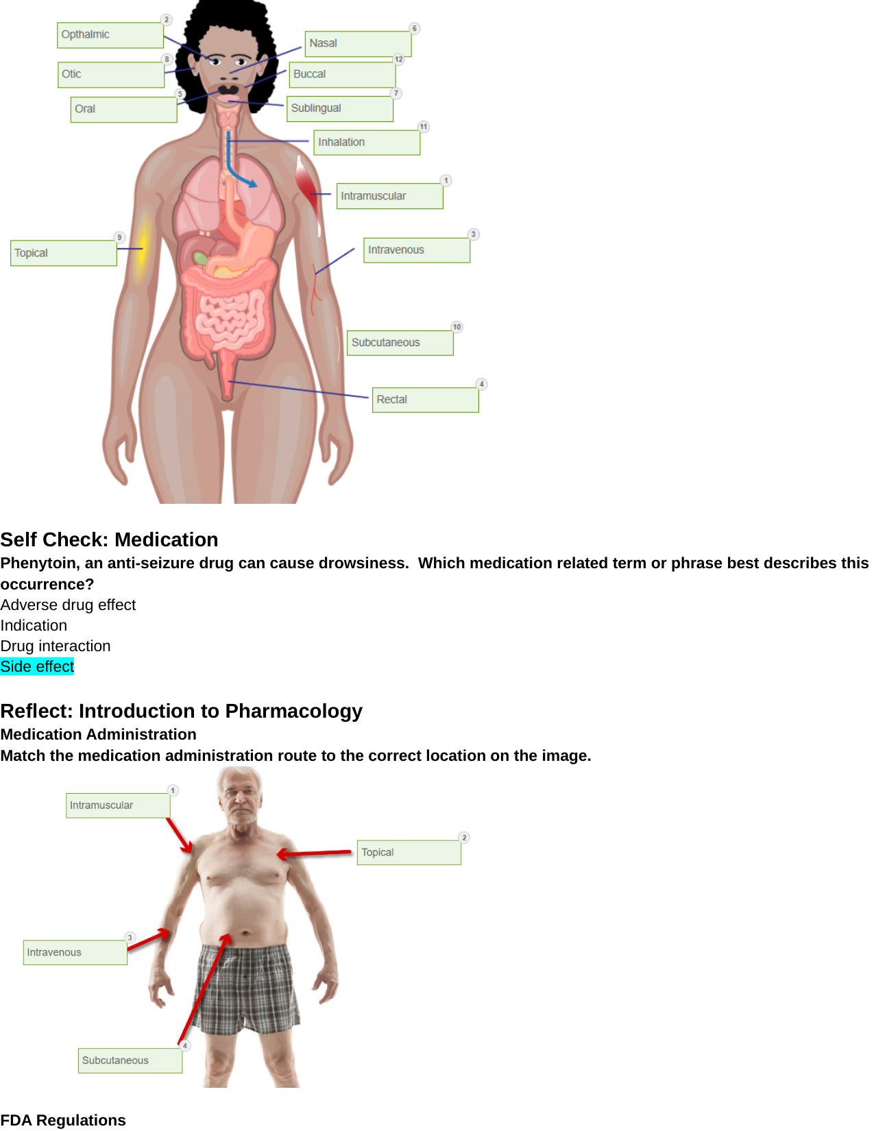 Introduction to Pharmacology 13th Edition TEST BANK