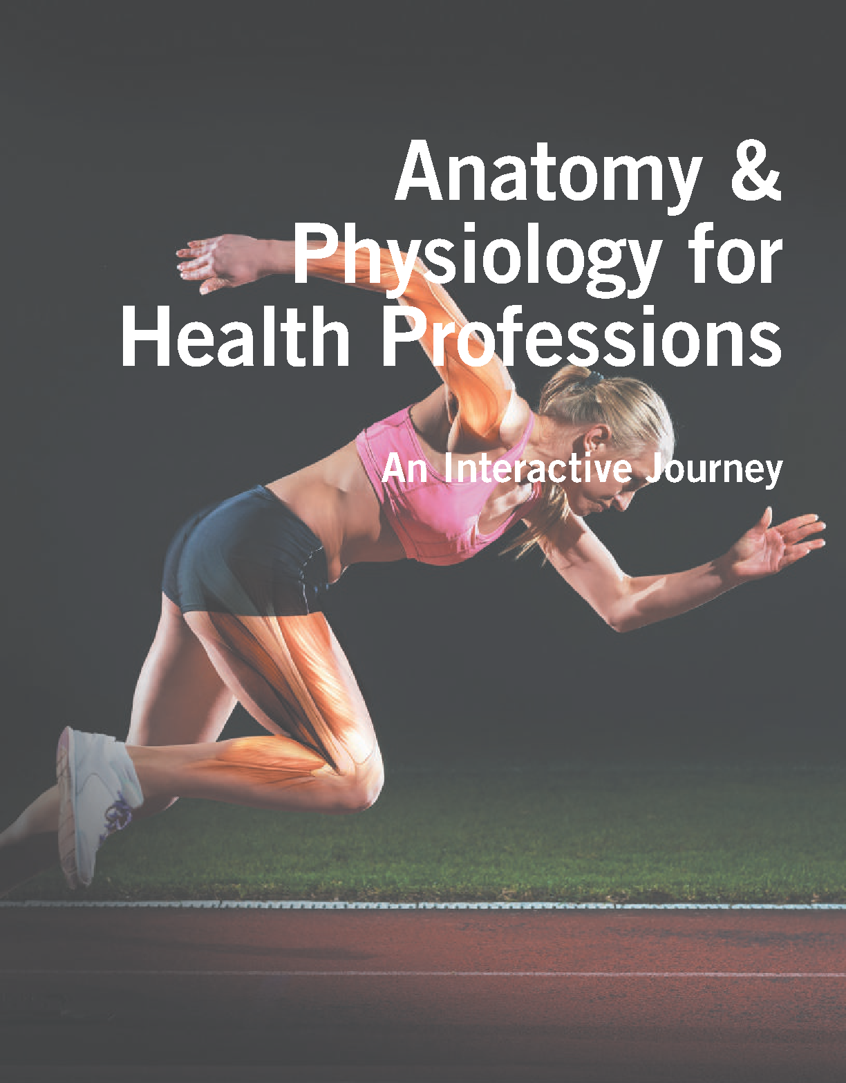 Anatomy Physiology Test Bank Health Professions 4th Ed
