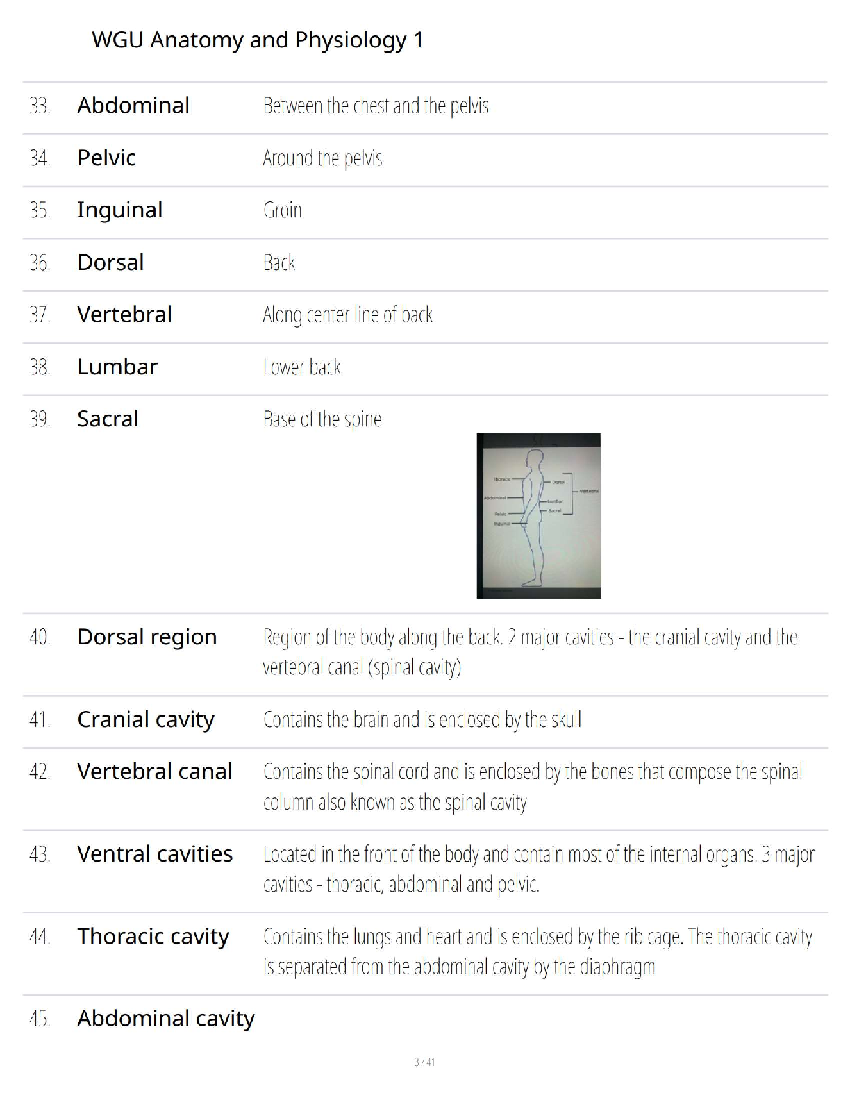 WGU Anatomy Physiology 1 Test Bank & Study Guide IMG-3