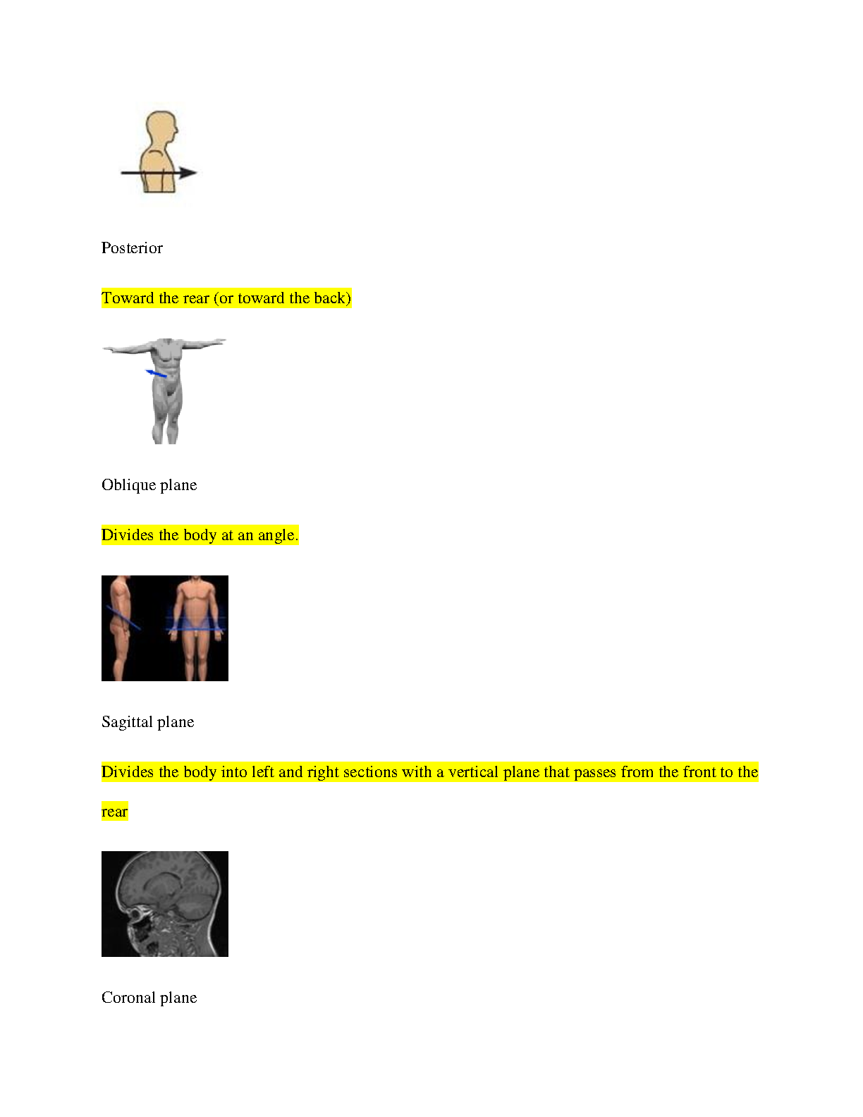 WGU C107 Anatomy and Physiology Study Guide 2024-2025 IMG-3