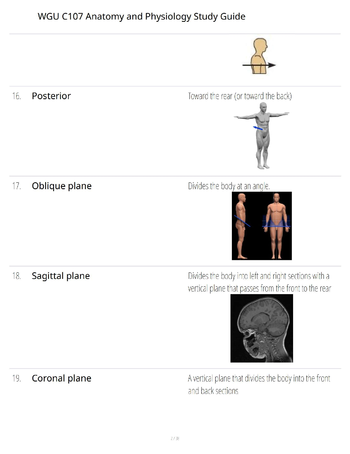 WGU C107 Anatomy and Physiology 2025/2026 Exam Questions & Answers