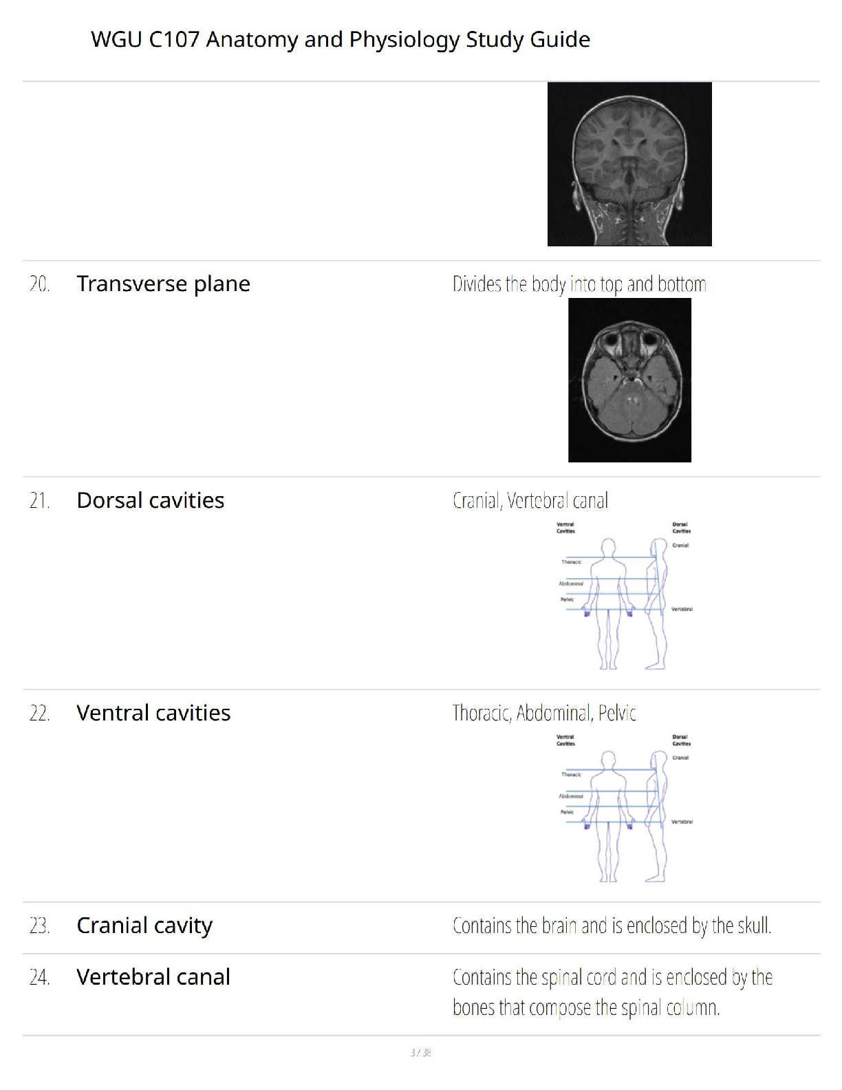 WGU C107 Anatomy and Physiology 2025/2026 Exam Questions & Answers IMG-3