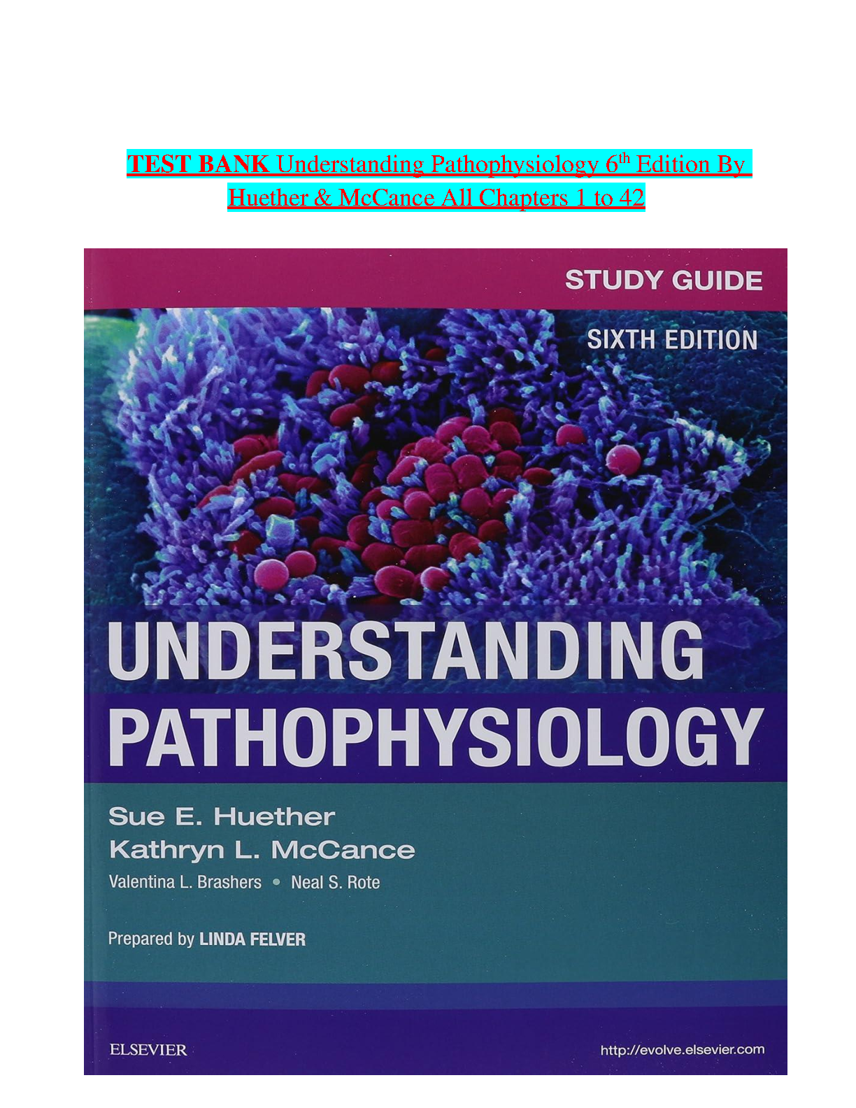 Understanding Pathophysiology, 6th Edition IMG-1