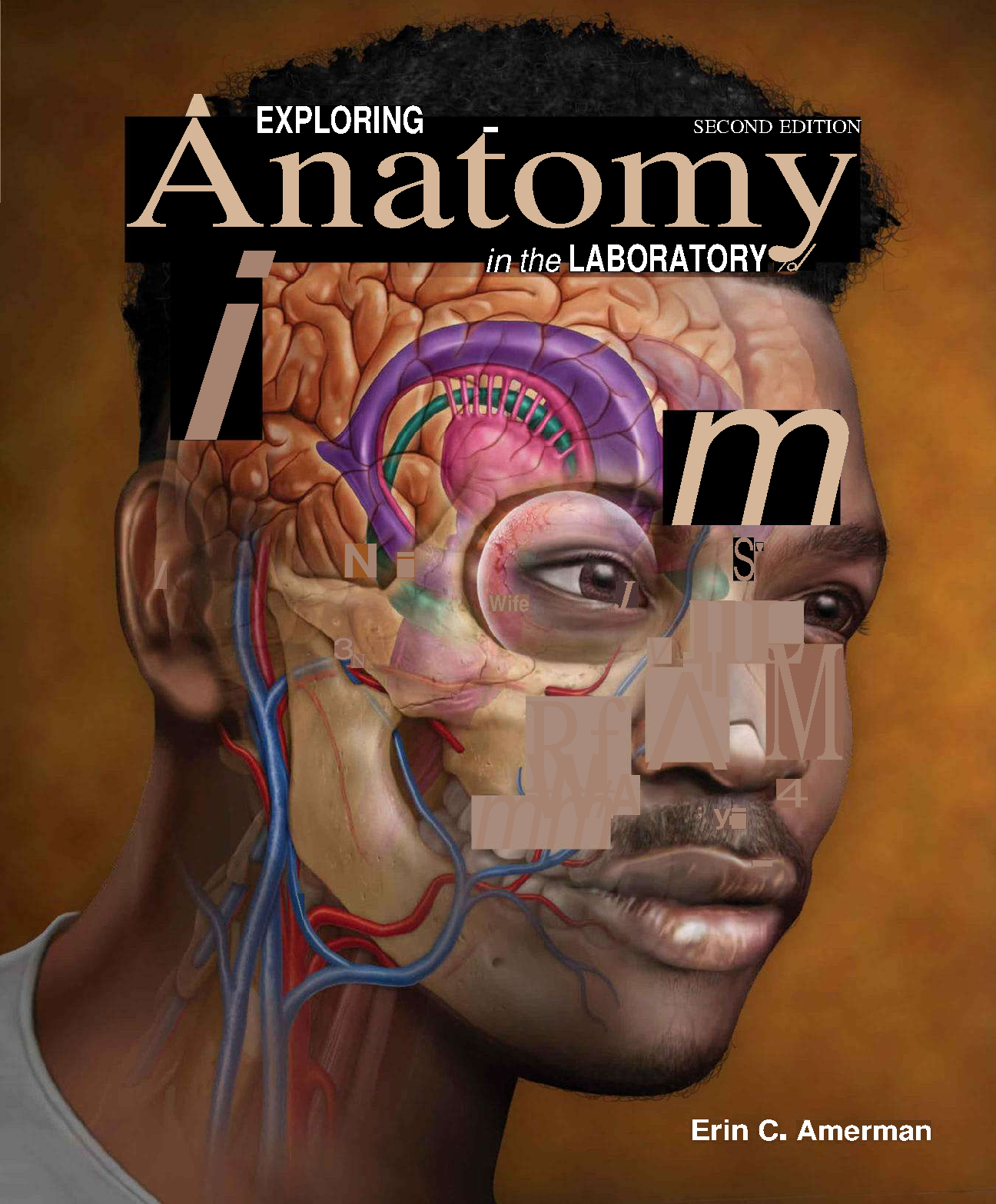 Anatomy Lab Test Bank Exploring Anatomy 2nd Ed 2026-27 IMG-1