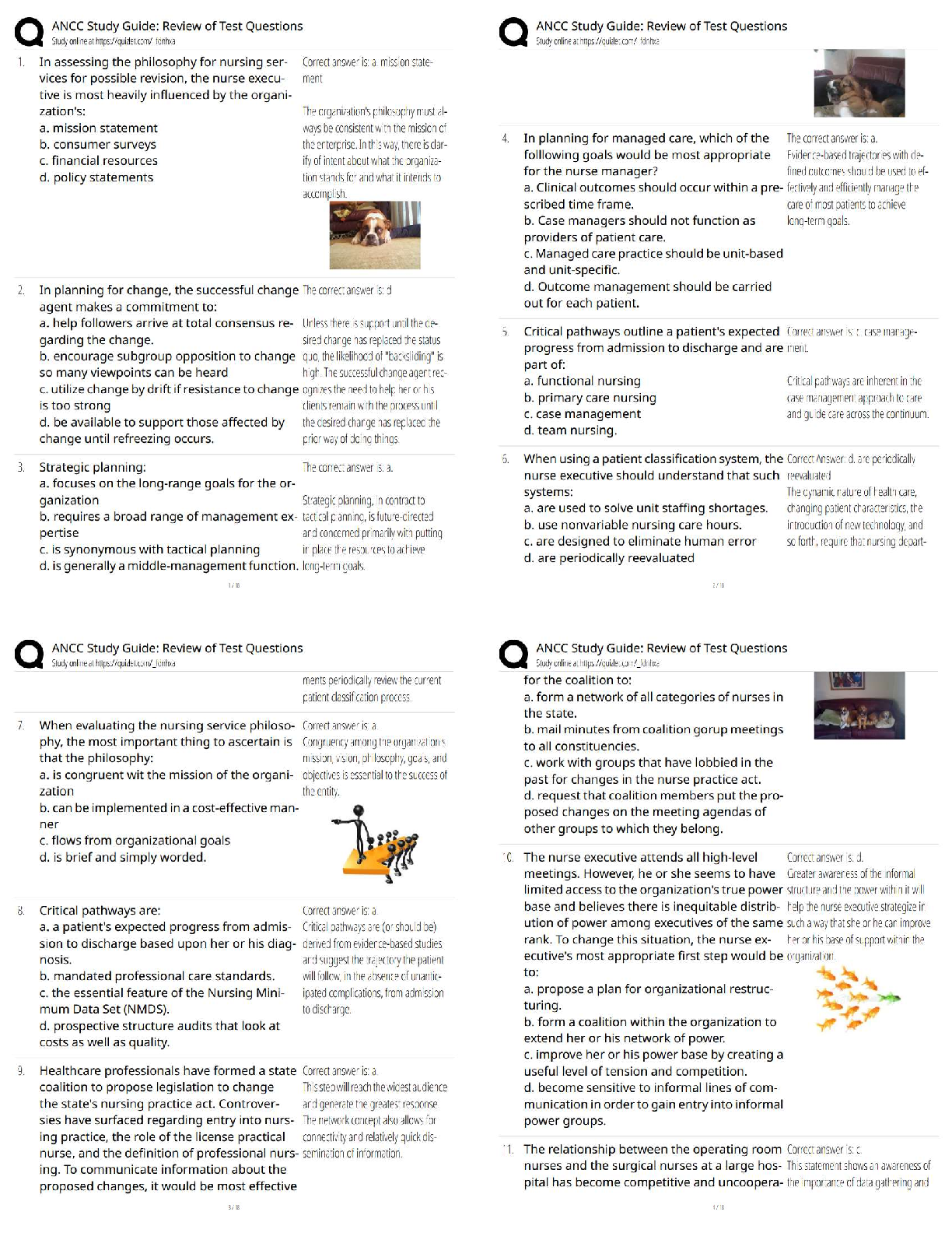 ANCC Exam Study Guide 2026/27 | Nursing Leadership & Practice Q&A