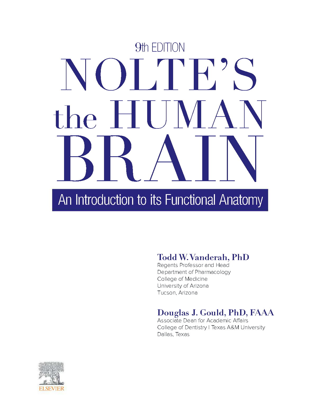 Nolte's Human Brain Test Bank Functional Anatomy Practice IMG-3