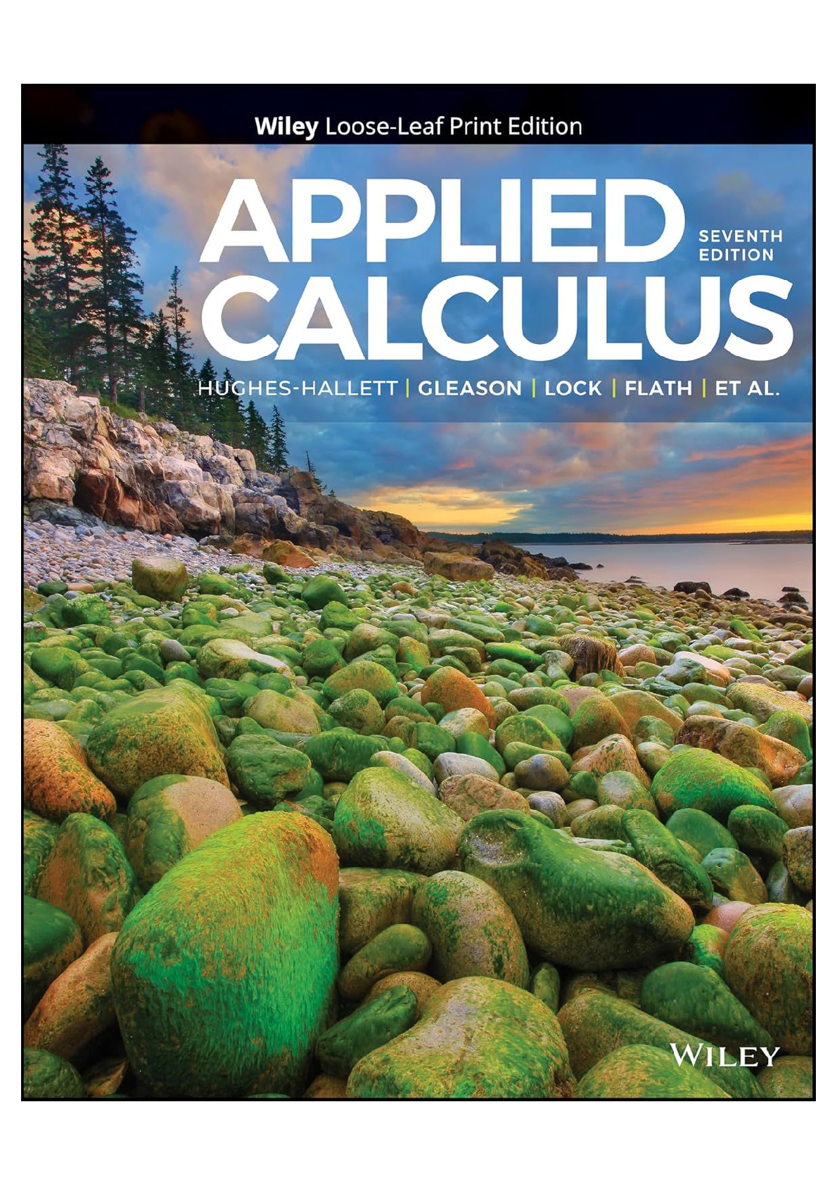 Applied Calculus 7th Edition SOLUTION MANUAL IMG-1