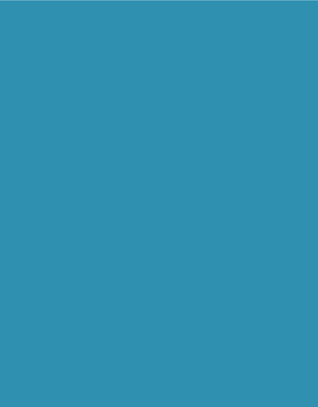 Baltzan Business Driven IS Solutions & Test Bank IMG-3