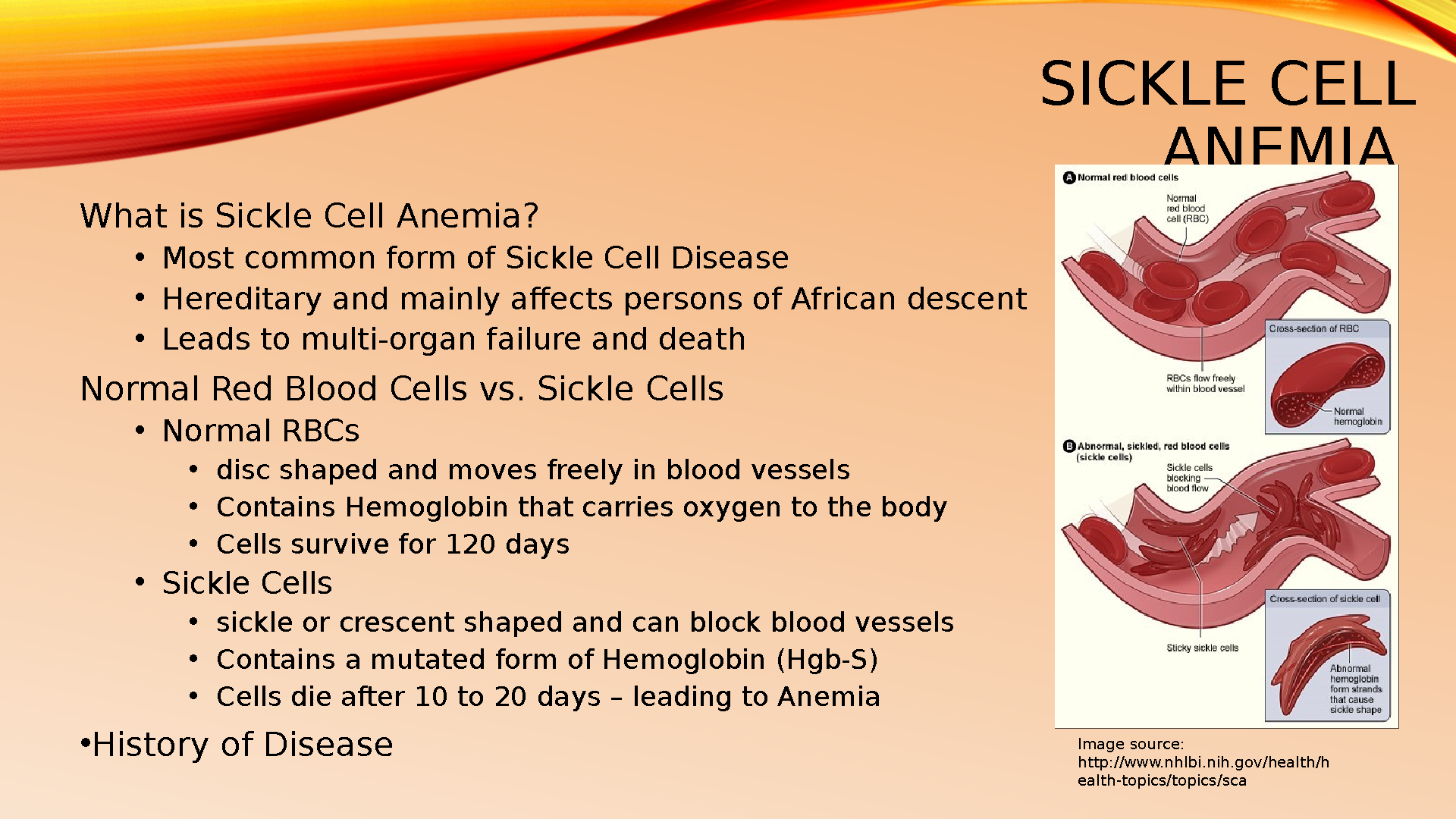 GCU NRS-434V Sickle Cell Case Study 2025/2026 IMG-3