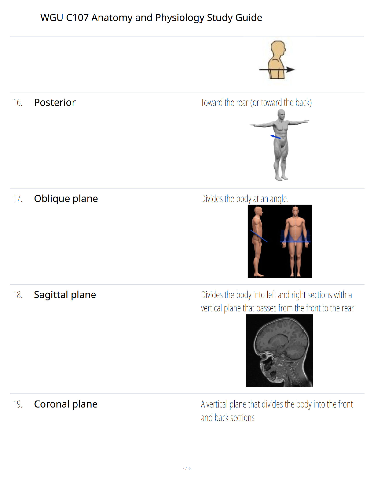 WGU C107 Anatomy & Physiology Study Guide 2026 Edition