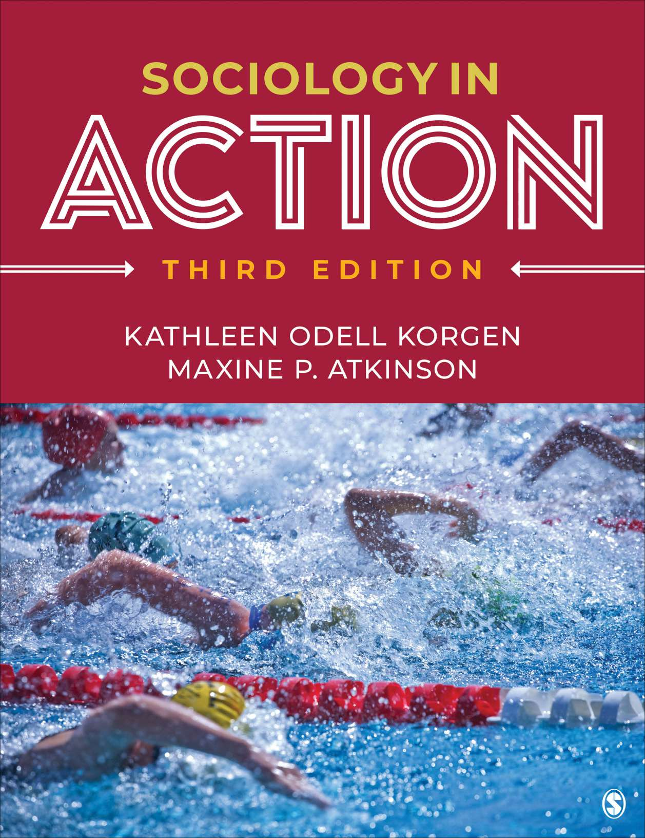 Sociology in Action 3rd Edition Test Bank